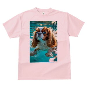 LoA TVc fB[X t@  t  vg JWA 킢 lԗp h ̃fUC ʔ  LoA  v[