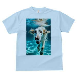 {]C TVc fB[X t@  t  vg JWA 킢 lԗp h ̃fUC ʔ  {]C 