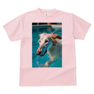 {]C TVc fB[X t@  t  vg JWA 킢 lԗp h ̃fUC ʔ  {]C v[