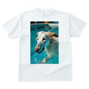 {]C TVc fB[X t@  t  vg JWA 킢 lԗp h ̃fUC ʔ  {]C v[