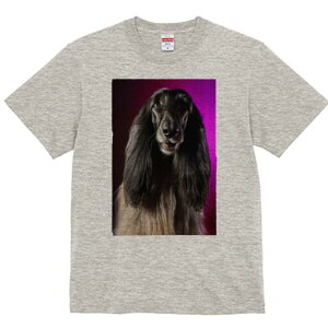 AtKnEh TVc fB[X t@  t  vg JWA 킢 lԗp h ̃fUC ʔ AtKnEh