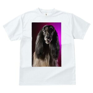 AtKnEh TVc fB[X t@  t  vg JWA 킢 lԗp h ̃fUC ʔ AtKnEh