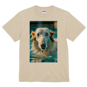 S[fgo[ TVc fB[X t@  t  vg JWA 킢 lԗp h ̃fUC ʔ  S[fgo[ v[