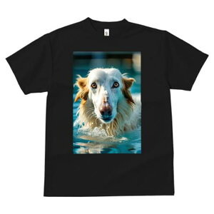 S[fgo[ TVc fB[X t@  t  vg JWA 킢 lԗp h ̃fUC ʔ  S[fgo[ v[