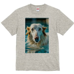 S[fgo[ TVc fB[X t@  t  vg JWA 킢 lԗp h ̃fUC ʔ  S[fgo[ v[