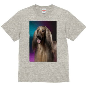 AtKnEh TVc fB[X t@  t  vg JWA 킢 lԗp h ̃fUC ʔ AtKnEh