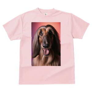 AtKnEh TVc fB[X t@  t  vg JWA 킢 lԗp h ̃fUC ʔ AtKnEh