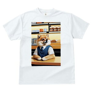 |jA TVc fB[X t@  t  vg JWA 킢 lԗp h ̃fUC ʔ p |jA }OJbv 