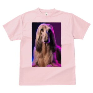 AtKnEh TVc fB[X t@  t  vg JWA 킢 lԗp h ̃fUC ʔ ӂӂ AtKnEh GKg  t@b