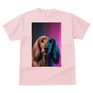 AtKnEh TVc fB[X t@  t  vg JWA 킢 lԗp h ̃fUC ʔ AtKnEh