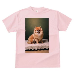 |jA TVc fB[X t@  t  vg JWA 킢 lԗp h ̃fUC ʔ NbV |jA