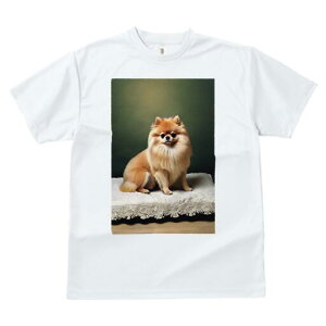 |jA TVc fB[X t@  t  vg JWA 킢 lԗp h ̃fUC ʔ NbV |jA