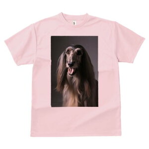 AtKnEh TVc fB[X t@  t  vg JWA 킢 lԗp h ̃fUC ʔ AtKnEh