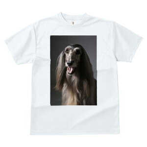 AtKnEh TVc fB[X t@  t  vg JWA 킢 lԗp h ̃fUC ʔ AtKnEh