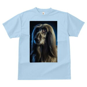 AtKnEh TVc fB[X t@  t  vg JWA 킢 lԗp h ̃fUC ʔ AtKnEh