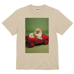 |jA TVc fB[X t@  t  vg JWA 킢 lԗp h ̃fUC ʔ  |jA 