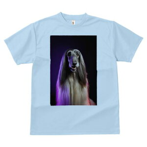 AtKnEh TVc fB[X t@  t  vg JWA 킢 lԗp h ̃fUC ʔ AtKnEh