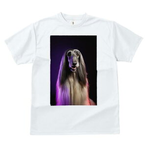 AtKnEh TVc fB[X t@  t  vg JWA 킢 lԗp h ̃fUC ʔ AtKnEh