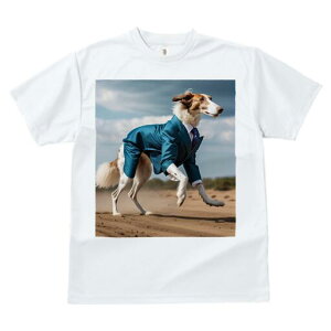 {]C TVc fB[X t@  t  vg JWA 킢 lԗp h ̃fUC ʔ X[c {]C lN^C