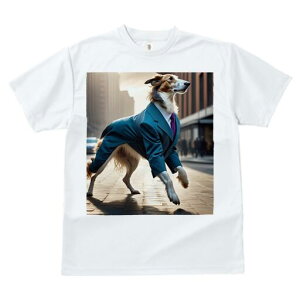 {]C TVc fB[X t@  t  vg JWA 킢 lԗp h ̃fUC ʔ X[c {]C lN^C rWlX s X