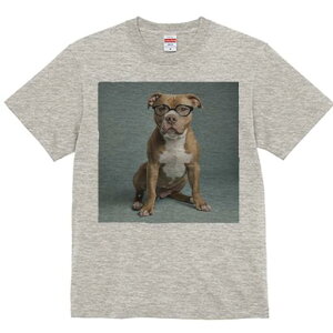 AJsbgueA TVc fB[X t@  t  vg JWA 킢 lԗp h ̃fUC ʔ Kl AJsbgueA