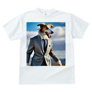 {]C TVc fB[X t@  t  vg JWA 킢 lԗp h ̃fUC ʔ X[c {]C lN^C