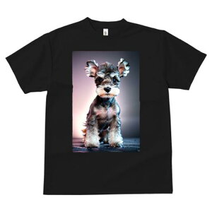 ~j`AViEU[ TVc fB[X t@  t  vg JWA 킢 lԗp h ̃fUC ʔ ~j`AViEU[