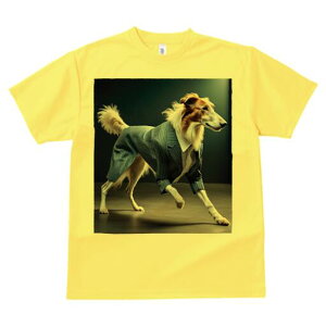 {]C TVc fB[X t@  t  vg JWA 킢 lԗp h ̃fUC ʔ X[c {]C