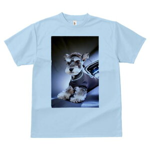 ~j`AViEU[ TVc fB[X t@  t  vg JWA 킢 lԗp h ̃fUC ʔ  ~j`AViEU[ Z[^[