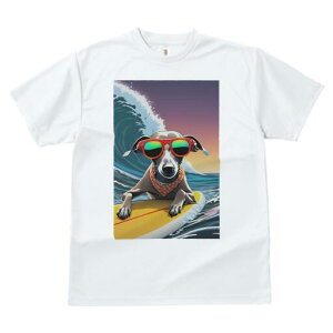 C^AO[nEh TVc fB[X t@  t  vg JWA 킢 lԗp h ̃fUC ʔ TOX C^AO[nEh T[