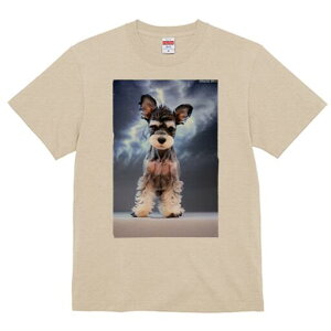 ~j`AViEU[ TVc fB[X t@  t  vg JWA 킢 lԗp h ̃fUC ʔ ~j`AViEU[