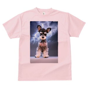 ~j`AViEU[ TVc fB[X t@  t  vg JWA 킢 lԗp h ̃fUC ʔ ~j`AViEU[