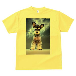 ~j`AViEU[ TVc fB[X t@  t  vg JWA 킢 lԗp h ̃fUC ʔ ~j`AViEU[