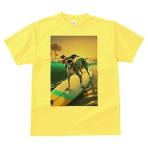 C^AO[nEh TVc fB[X t@  t  vg JWA 킢 lԗp h ̃fUC ʔ T[tB C^AO[nEh C r