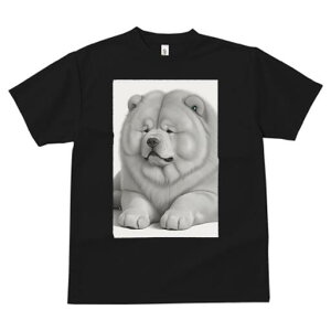 `E`E TVc fB[X t@  t  vg JWA 킢 lԗp h ̃fUC ʔ ӂӂ `E`E ʂ