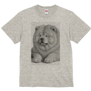 `E`E TVc fB[X t@  t  vg JWA 킢 lԗp h ̃fUC ʔ ӂӂ `E`E ʂ