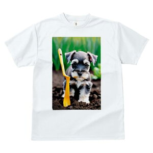 ~j`AViEU[ TVc fB[X t@  t  vg JWA 킢 lԗp h ̃fUC ʔ y ~j`AViEU[ Vx 