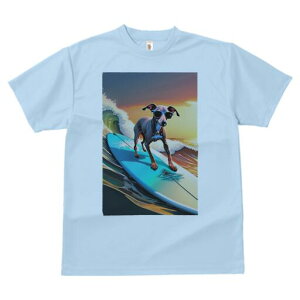 C^AO[nEh TVc fB[X t@  t  vg JWA 킢 lԗp h ̃fUC ʔ T[tB C^AO[nEh C g 