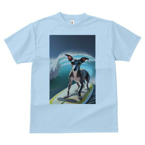 C^AO[nEh TVc Y LbY t@  t  vg JWA 킢 lԗp h ̃fUC ʔ T[tB C^AO[nEh g 