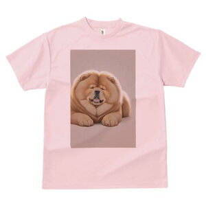 `E`E TVc fB[X t@  t  vg JWA 킢 lԗp h ̃fUC ʔ ӂӂ `E`E 킢  ʂ