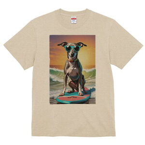 C^AO[nEh TVc fB[X t@  t  vg JWA 킢 lԗp h ̃fUC ʔ T[tB C^AO[nEh C g 