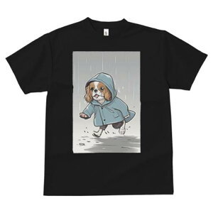 LoA TVc fB[X t@  t  vg JWA 킢 lԗp h ̃fUC ʔ J LoA CR[g