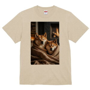 Č TVc fB[X t@  t  vg JWA 킢 lԗp h ̃fUC ʔ gF Č ѕz  ~