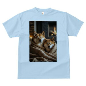 柴犬 Tシャツ レディース 犬ファン 半袖 春夏 犬柄 プリント カジュアル かわいい 人間用 個性派 ここだけのデザイン 面白 暖炉 柴犬 毛布 癒し 冬