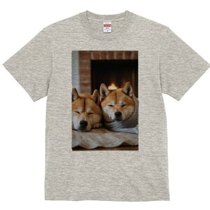 Č TVc fB[X t@  t  vg JWA 킢 lԗp h ̃fUC ʔ gF Č  ~ x