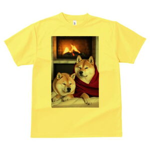 Č TVc fB[X t@  t  vg JWA 킢 lԗp h ̃fUC ʔ gF Č  ѕz