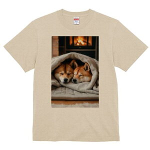 Č TVc fB[X t@  t  vg JWA 킢 lԗp h ̃fUC ʔ gF Č ѕz