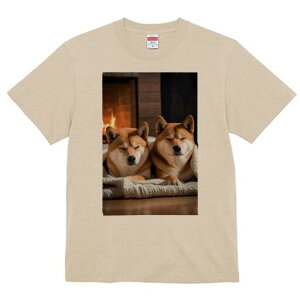 Č TVc fB[X t@  t  vg JWA 킢 lԗp h ̃fUC ʔ gF Č uPbg