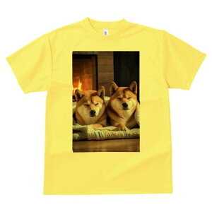 Č TVc fB[X t@  t  vg JWA 킢 lԗp h ̃fUC ʔ gF Č uPbg