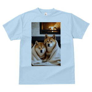 Č TVc fB[X t@  t  vg JWA 킢 lԗp h ̃fUC ʔ gF Č ѕz